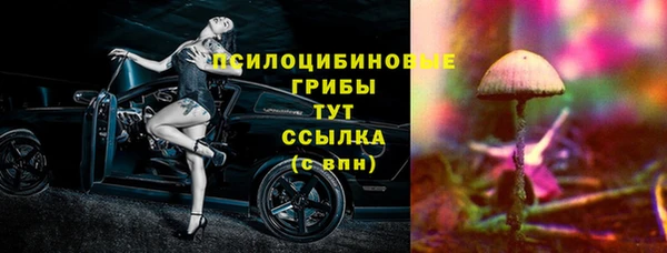 дмт Беломорск