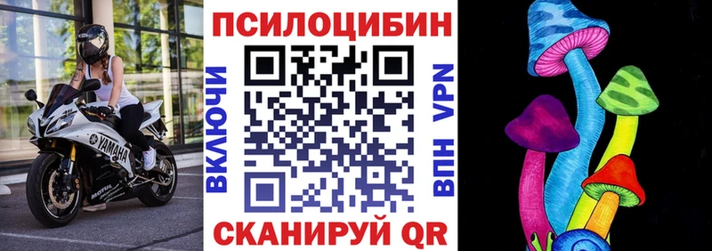 Галлюциногенные грибы мухоморы Мончегорск